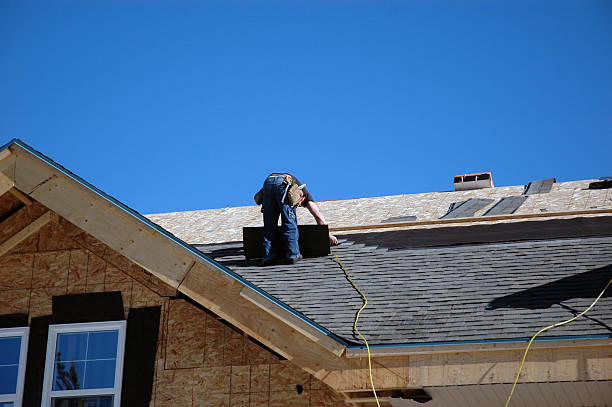 Best Roof Gutter Cleaning  in Merrifield, VA
